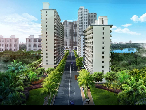 半岛观海苑房价还会涨吗